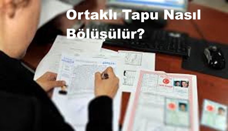 Ortaklı Tapu Nasıl Bölüşülür?